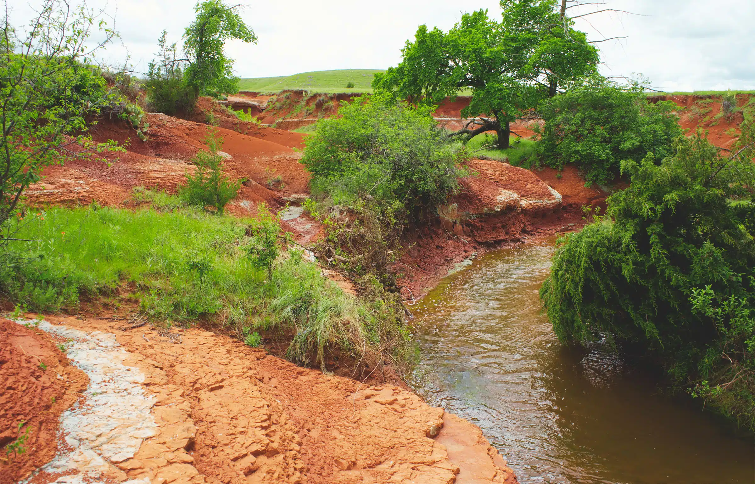 Red Hill Ranch 313 Acres For Sale in Caddo County Oklahoma Image