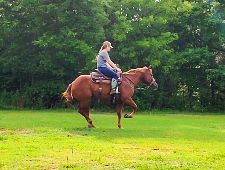 Jessica Suggs Texas Ranch Sales Broker Associate Image 4