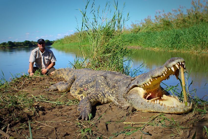 Sheldon Grothaus Broker Texas Ranch Sales