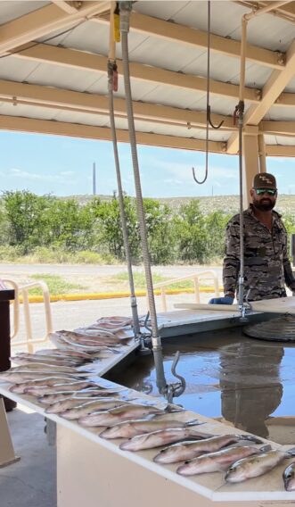Shon Riley