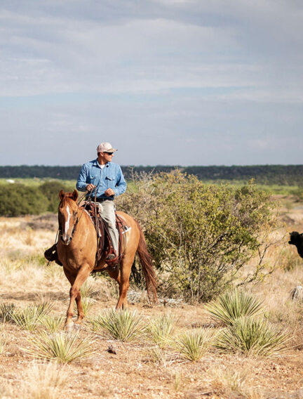 Stephen West Texas Ranch Sales Associate Image 5