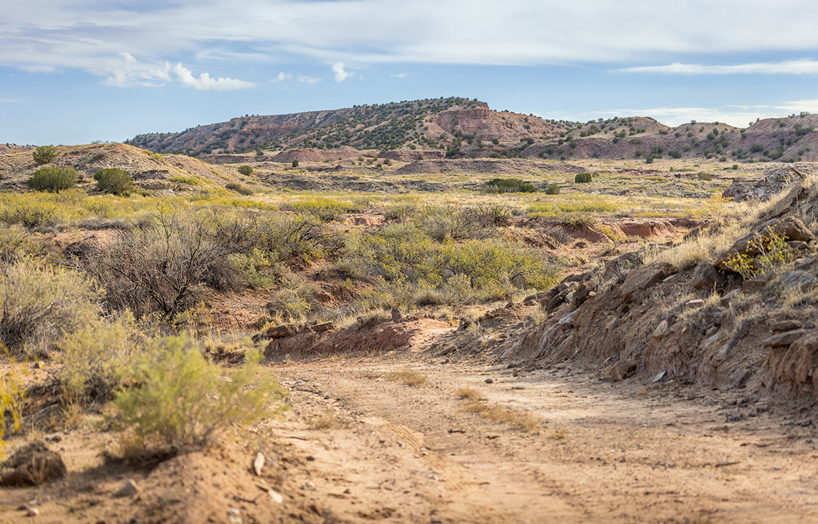 Hidden Ranch 5110 Acre Ranch For Sale In New Mexico Image 10