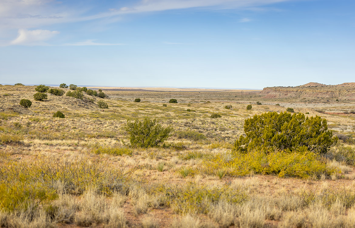 Hidden Ranch 5110 Acre Ranch For Sale In New Mexico Image 11