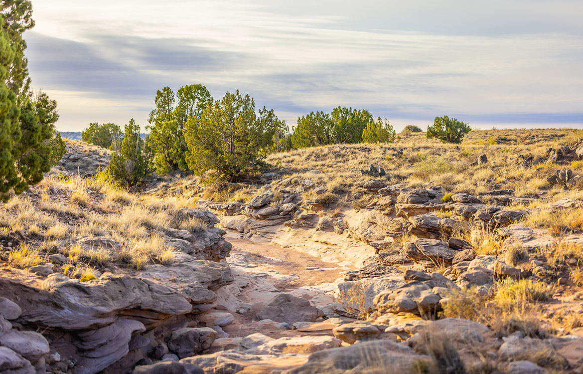 Hidden Ranch 5110 Acre Ranch For Sale In New Mexico Image 13