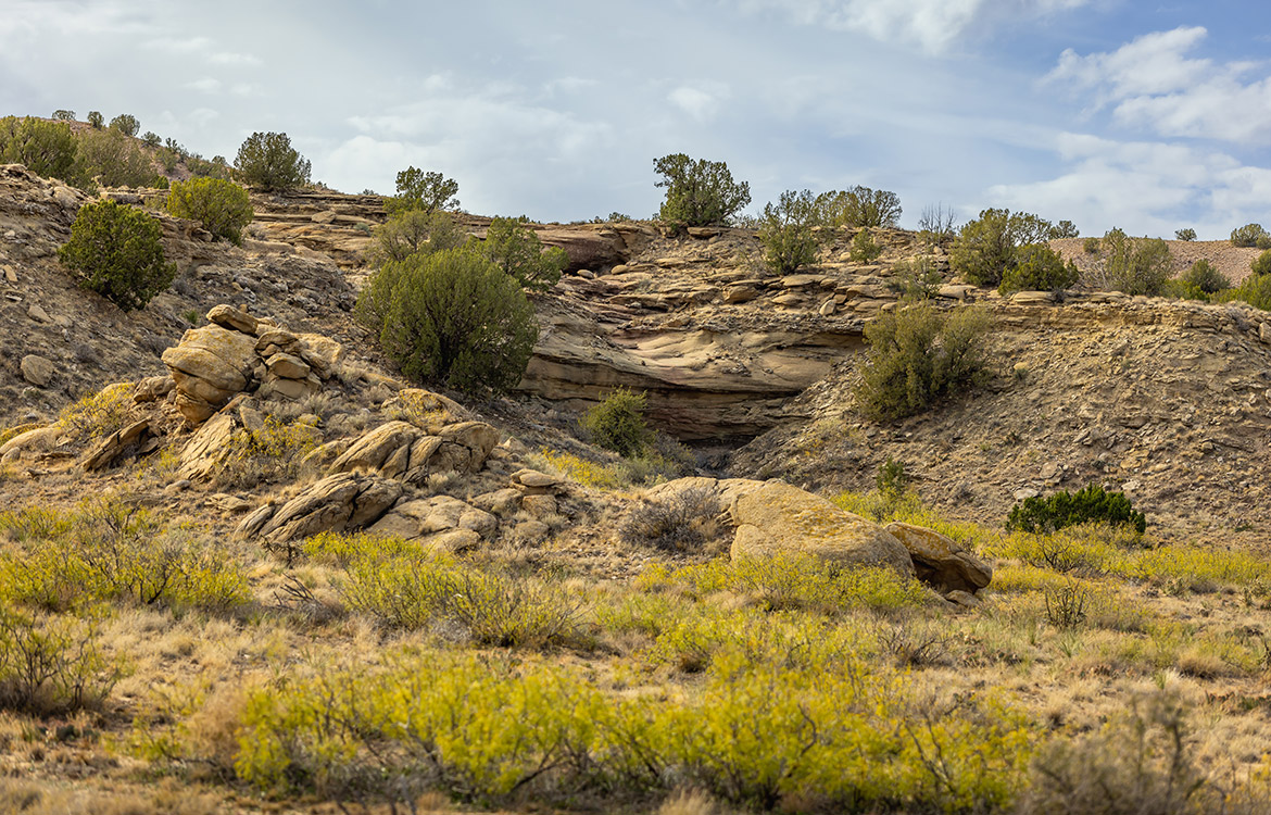 Hidden Ranch 5110 Acre Ranch For Sale In New Mexico Image 14