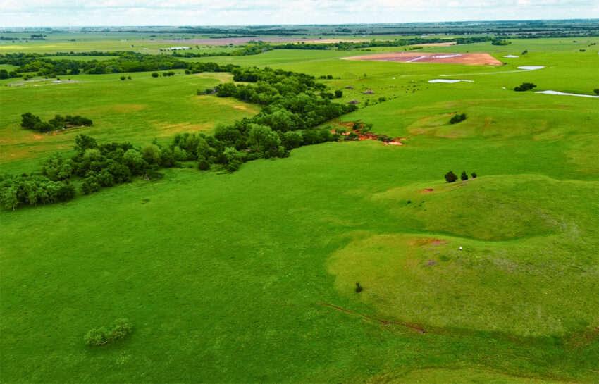 Red Hill Ranch 313 Acres For Sale in Caddo County Oklahoma Image 10