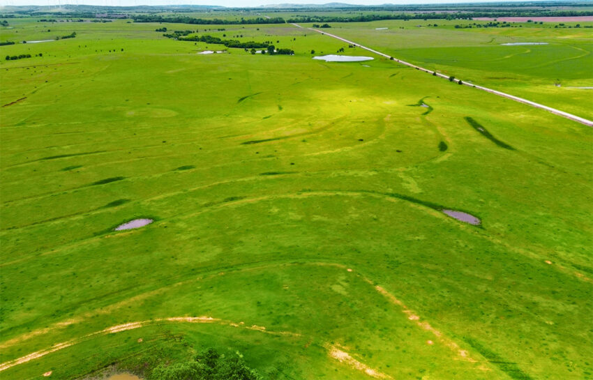 Red Hill Ranch 313 Acres For Sale in Caddo County Oklahoma Image 12