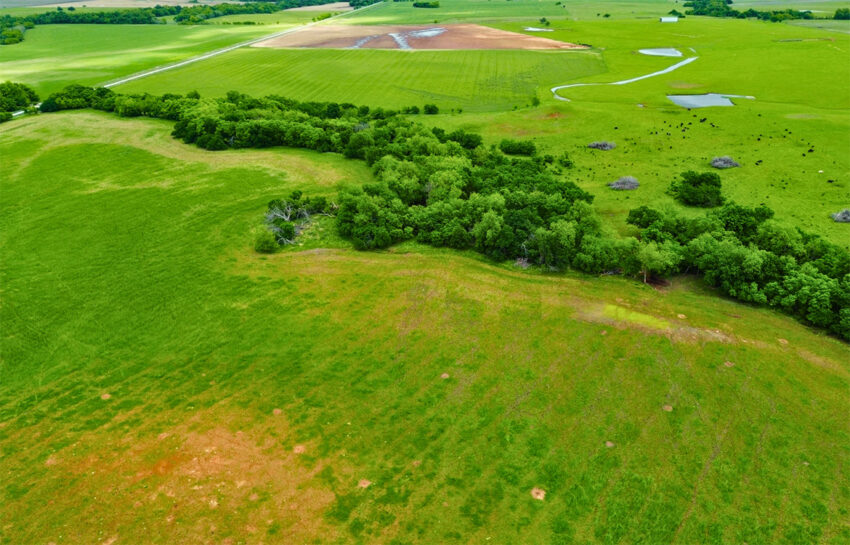 Red Hill Ranch 313 Acres For Sale in Caddo County Oklahoma Image 14