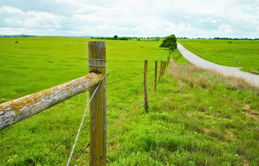 Red Hill Ranch 313 Acres For Sale in Caddo County Oklahoma Image 18
