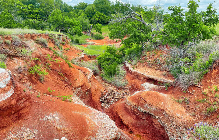 Red Hill Ranch 313 Acres For Sale in Caddo County Oklahoma Image 3
