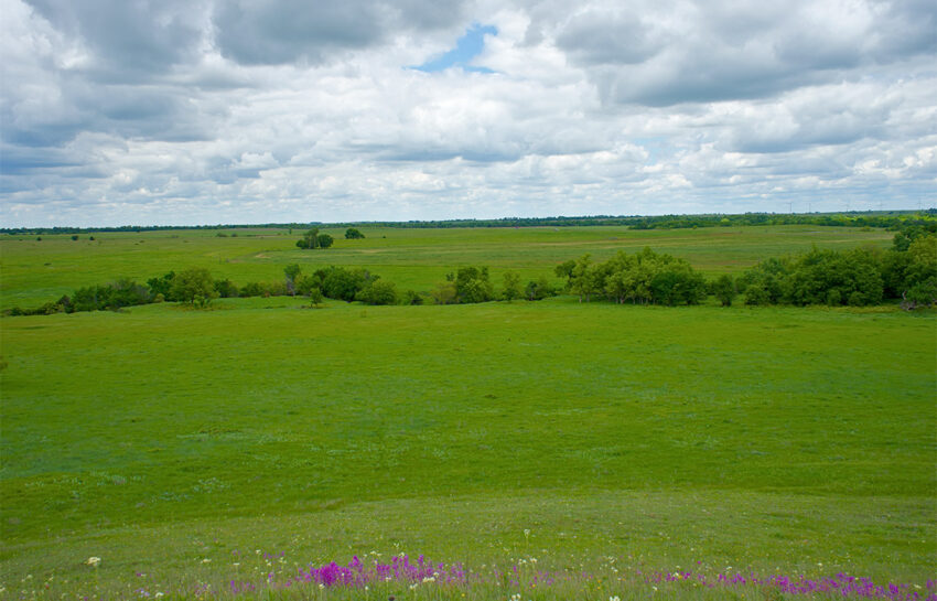 Red Hill Ranch 313 Acres For Sale in Caddo County Oklahoma Image 4