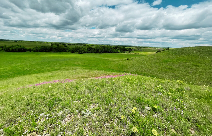 Red Hill Ranch 313 Acres For Sale in Caddo County Oklahoma Image 5