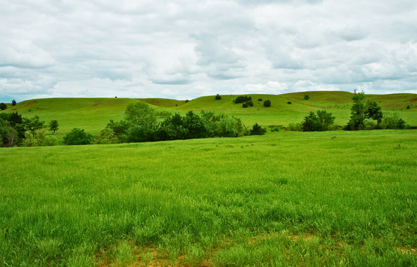 Red Hill Ranch 313 Acres For Sale in Caddo County Oklahoma Image 6