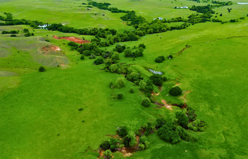 Red Hill Ranch 313 Acres For Sale in Caddo County Oklahoma Image 9
