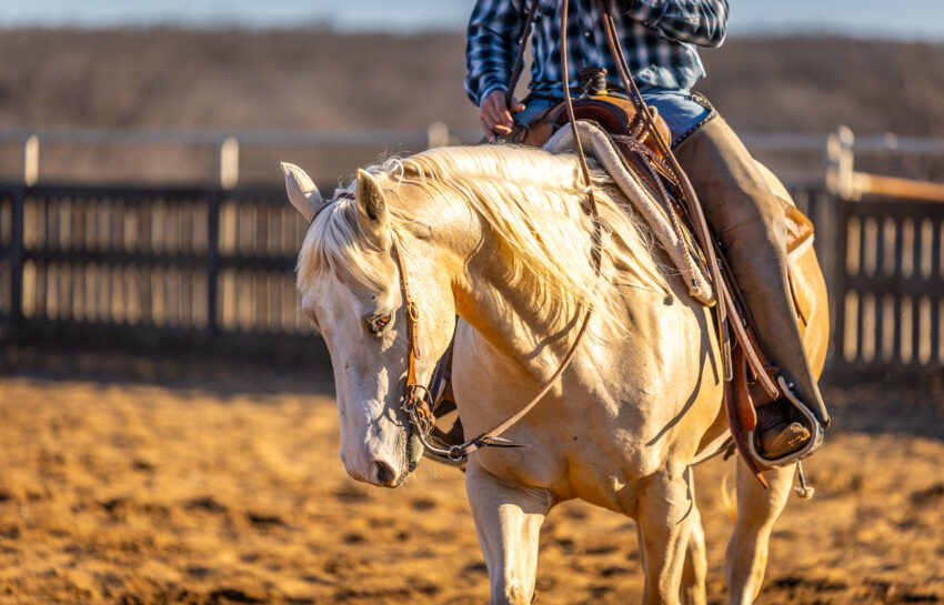 Pendleton Ranch 3260 Acres For Sale in Carter County Oklahoma Image 10
