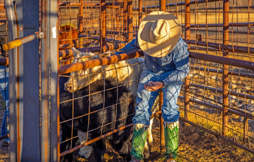 Pendleton Ranch 3260 Acres For Sale in Carter County Oklahoma Image 13