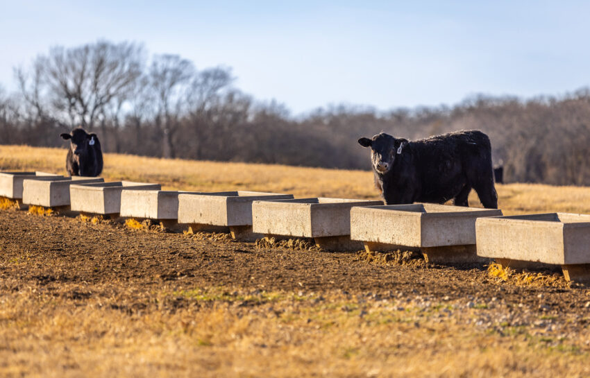 Pendleton Ranch 3260 Acres For Sale in Carter County Oklahoma Image 15