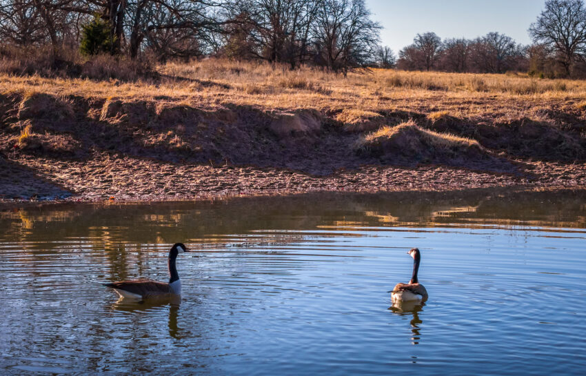 Pendleton Ranch 3260 Acres For Sale in Carter County Oklahoma Image 23