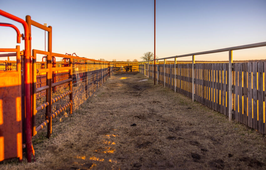 Pendleton Ranch 3260 Acres For Sale in Carter County Oklahoma Image 8