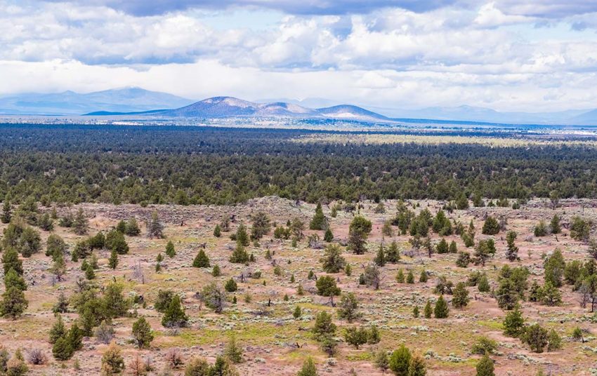Y-Bell Ranch 435 Acre Ranch, Crook County, Oregon, Image 26