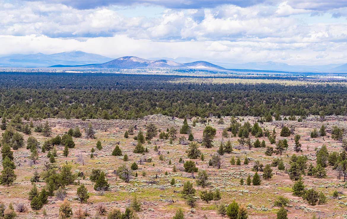 Y-Bell Ranch 435 Acre Ranch, Crook County, Oregon, Image 26