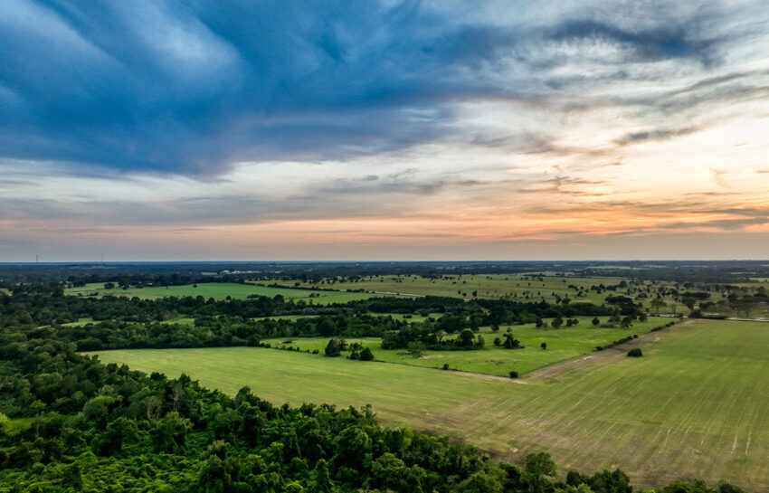 Long Meadow Ranch 56 Acre Ranch For Sale In Austin County Image 11