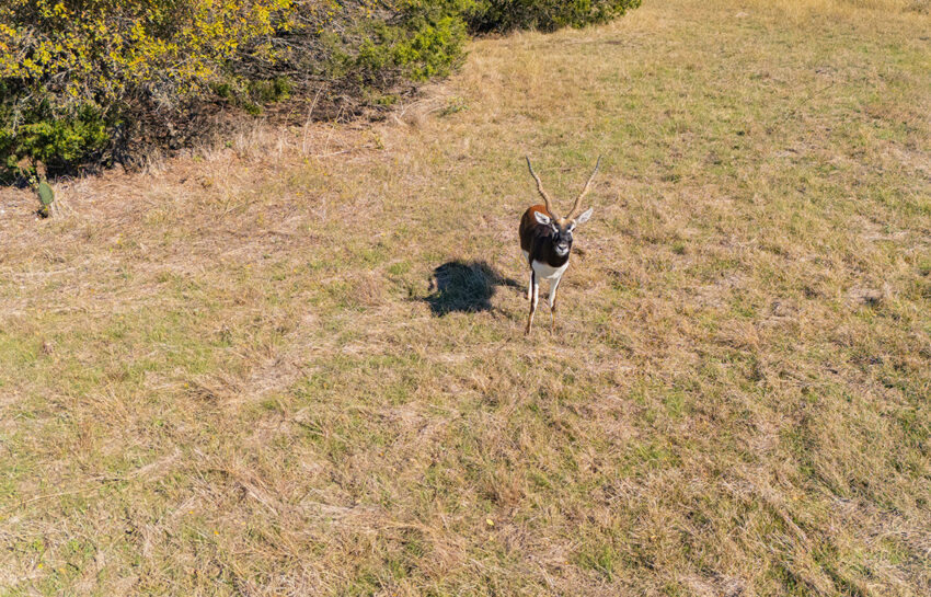 The Lots at Crossbow Ranch 7 Acres For Sale In Bosque County Image 17