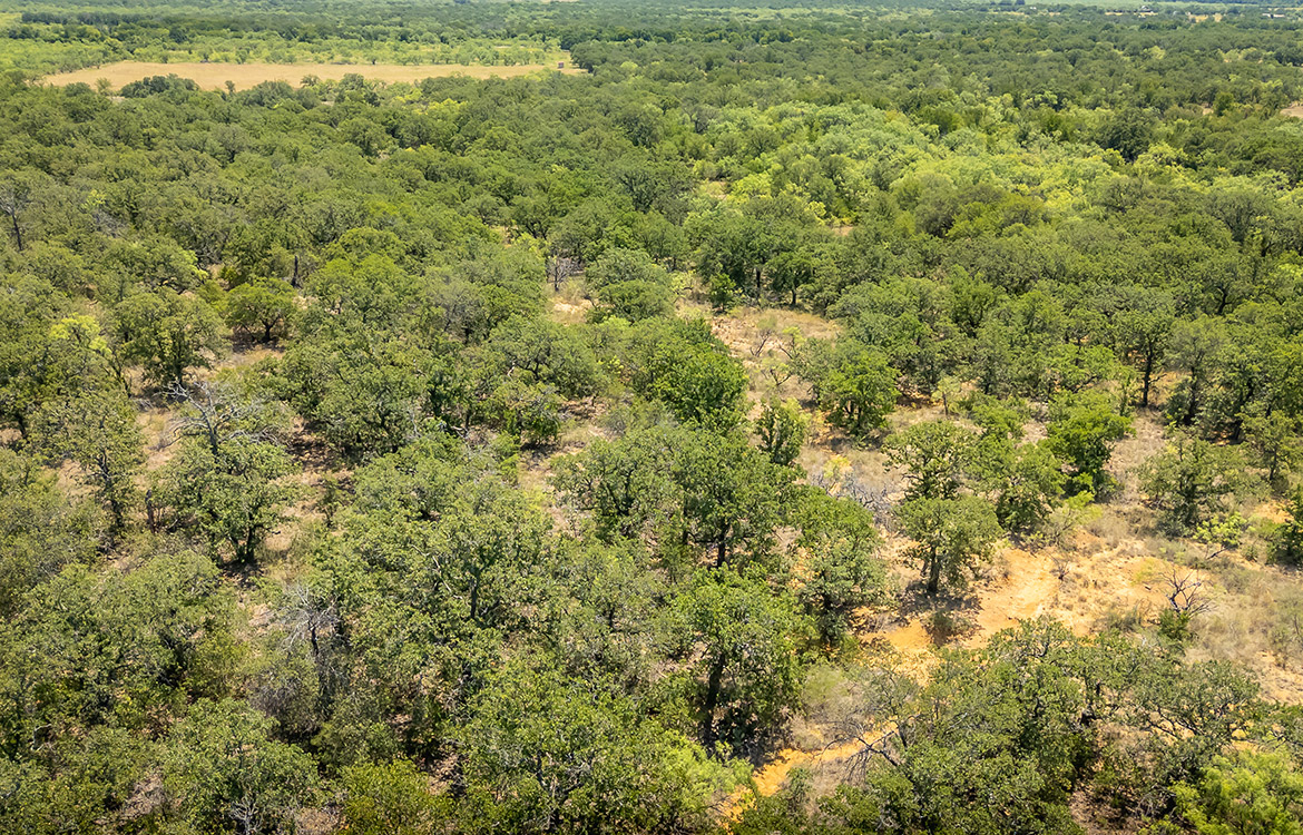 Wild Branch Ranch 106 Acre Ranch For Sale In Brown County Image 13