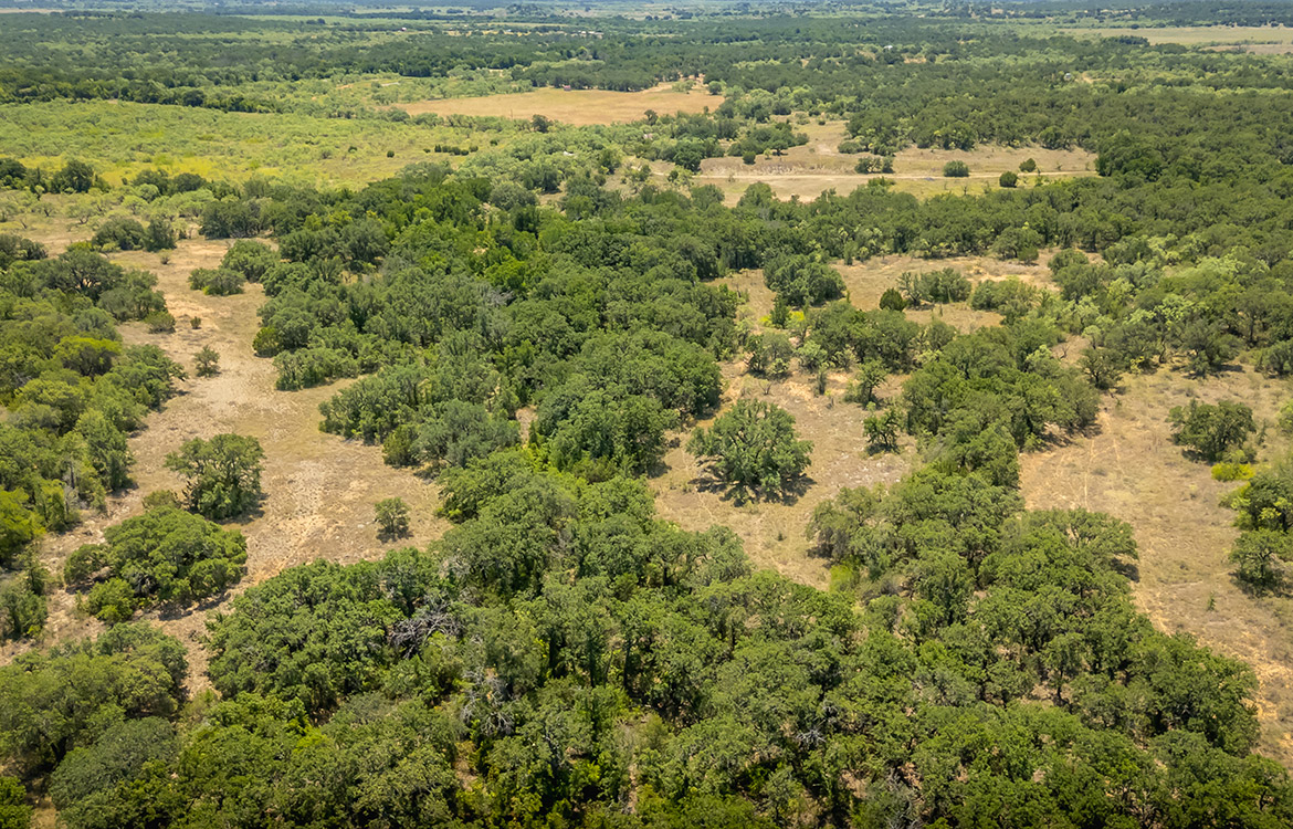 Wild Branch Ranch 106 Acre Ranch For Sale In Brown County Image 15
