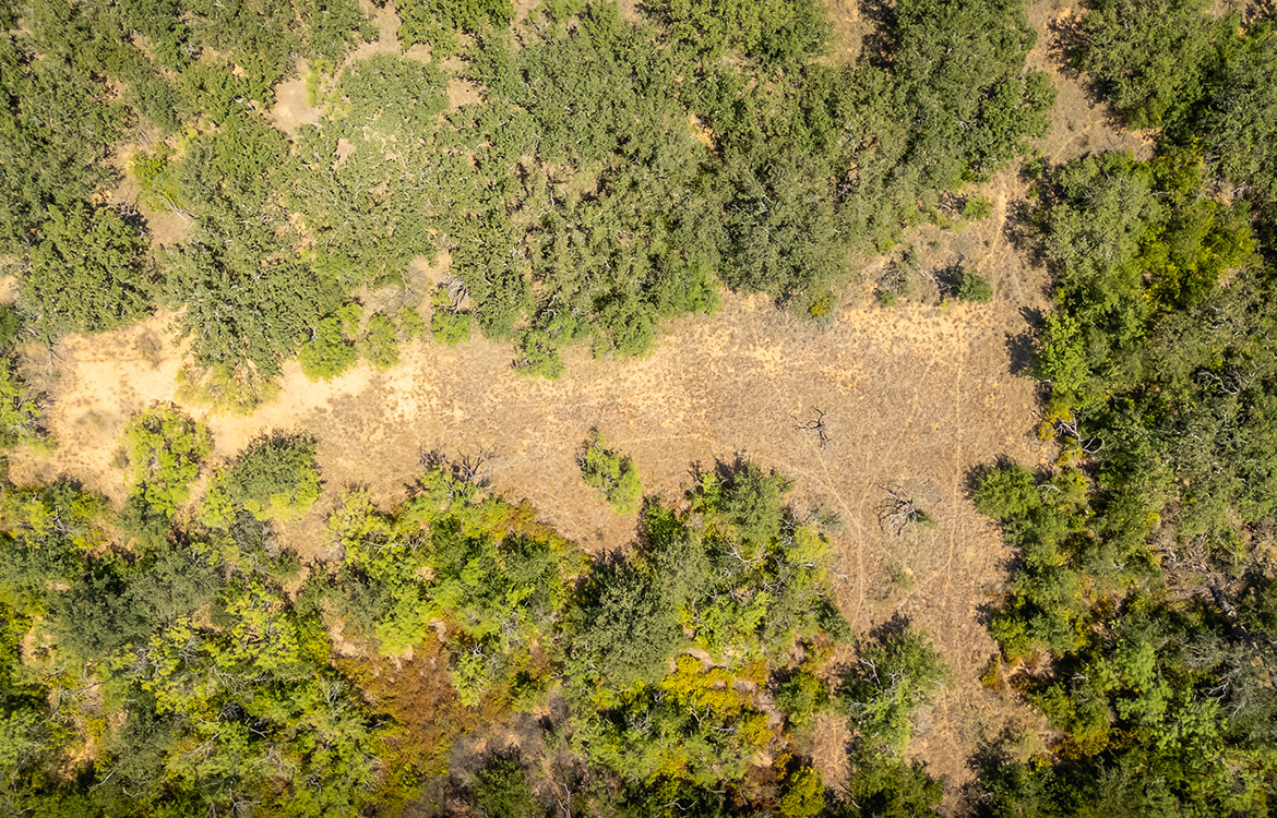 Wild Branch Ranch 106 Acre Ranch For Sale In Brown County Image 16