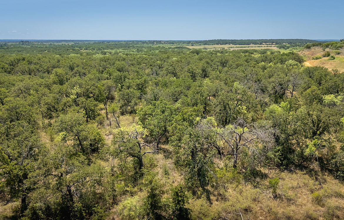 Wild Branch Ranch 106 Acre Ranch For Sale In Brown County Image 9