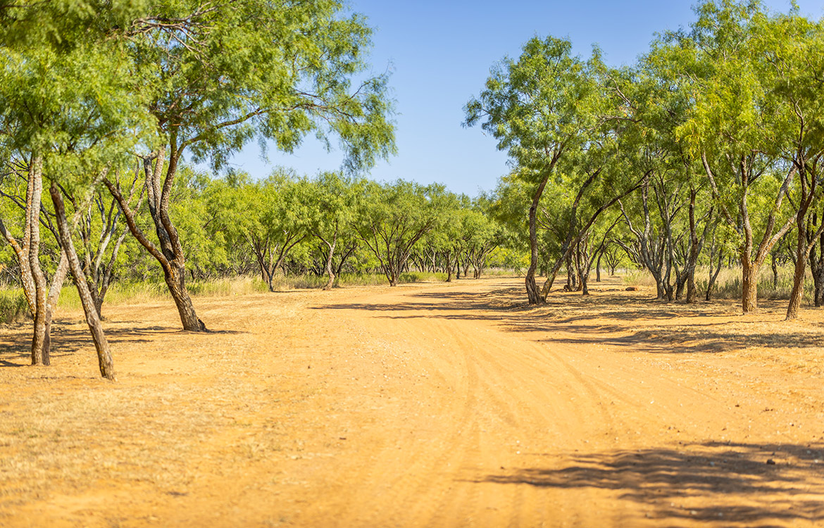 View Point Ranch 2020 Acre Ranch For Sale In Brown County Image 19