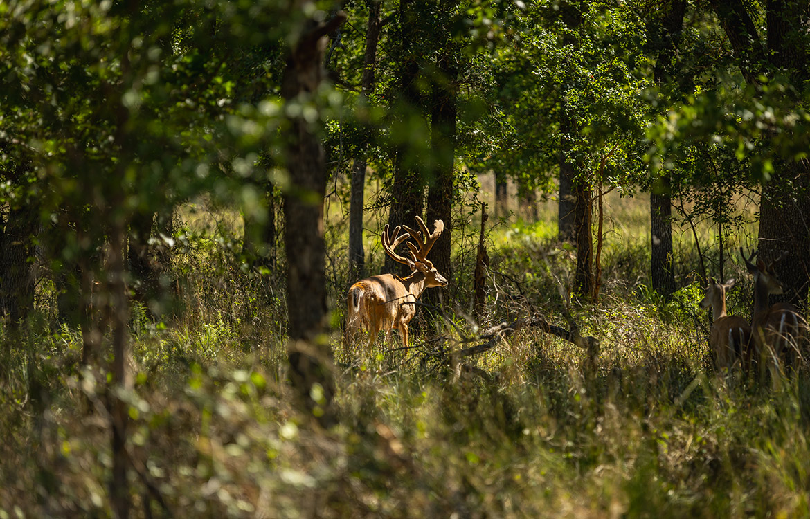 View Point Ranch 2020 Acre Ranch For Sale In Brown County Image 21