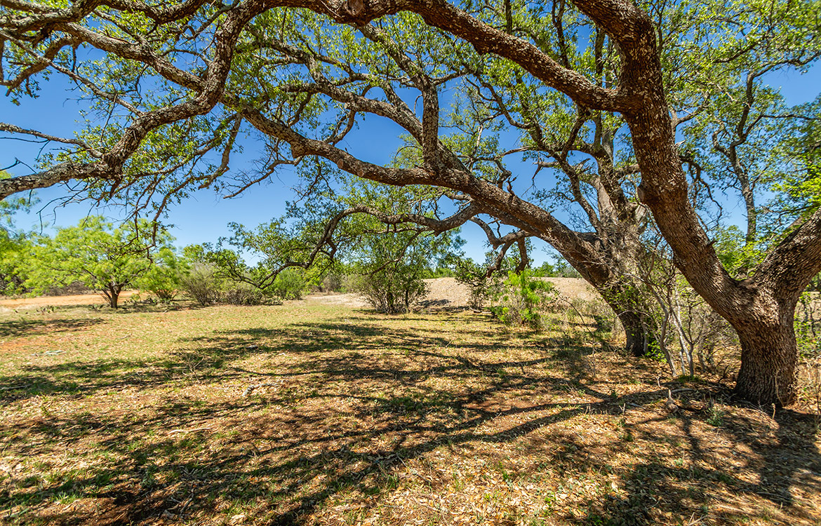 Runway River Ranch 397 Acre Ranch For Sale In Brown County Image 9