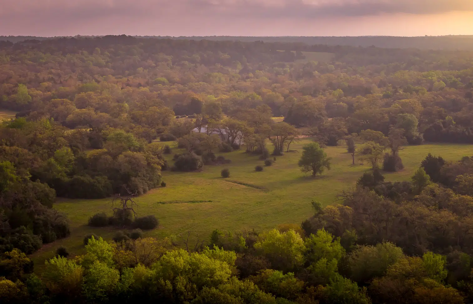 Reveille Hill Ranch 98 Acre Ranch For Sale in Burleson County Image 1