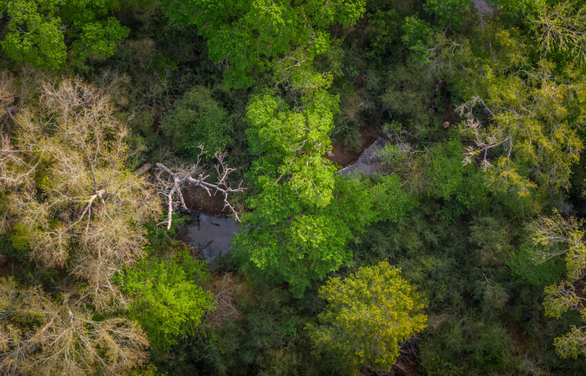 Reveille Hill Ranch 98 Acre Ranch For Sale in Burleson County Image 5