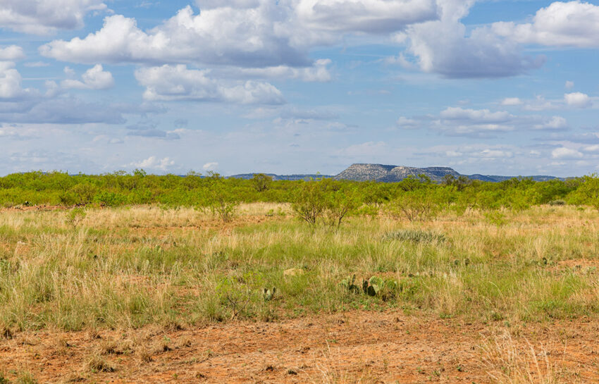Circle M Ranch 110 Acre Ranch Coke County Image 1