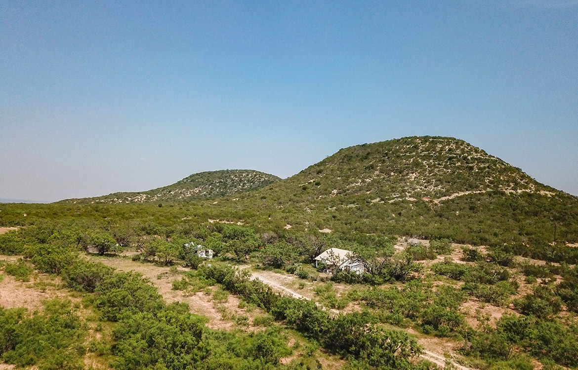 Pecan Church Ranch 85 Acre Ranch For Sale In Coke County Image 1
