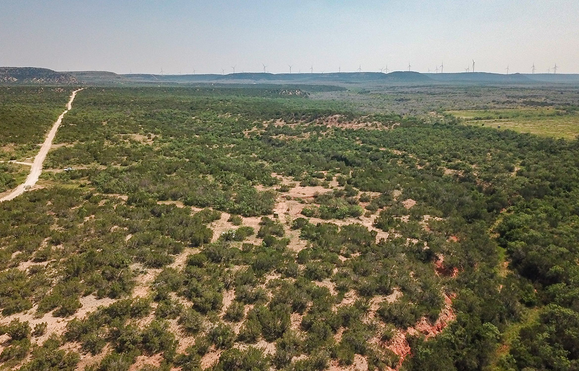 Pecan Church Ranch 85 Acre Ranch For Sale In Coke County Image 12