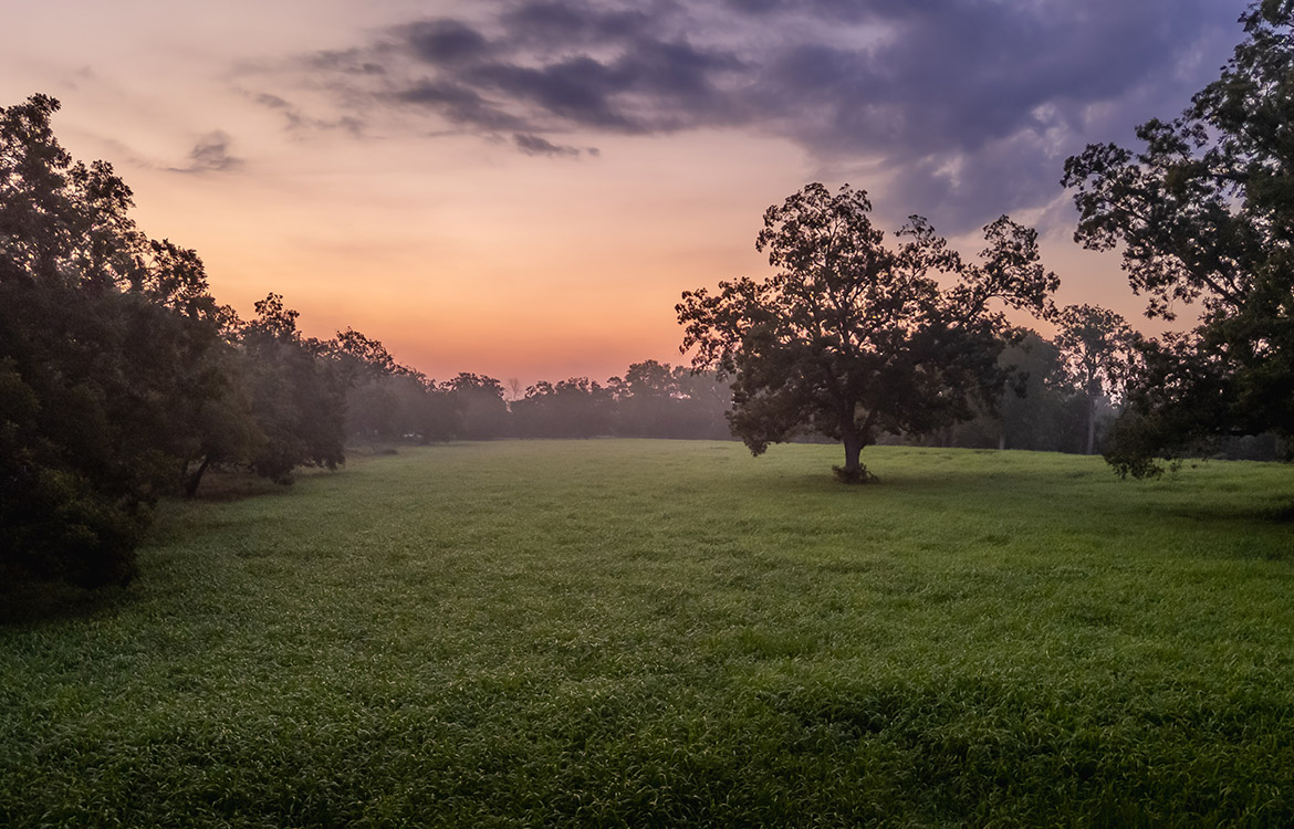 Sunrise River Ranch 52 Acre Ranch For Sale In Colorado County Image 13