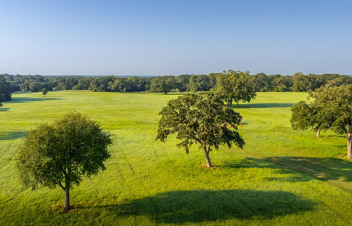 Sunrise River Ranch 52 Acre Ranch For Sale In Colorado County Image 16