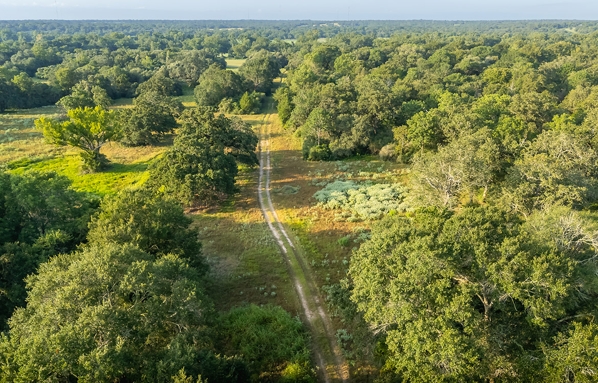 Sunrise River Ranch 52 Acre Ranch For Sale In Colorado County Image 17