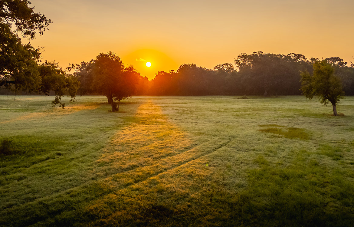 Sunrise River Ranch 52 Acre Ranch For Sale In Colorado County Image 3
