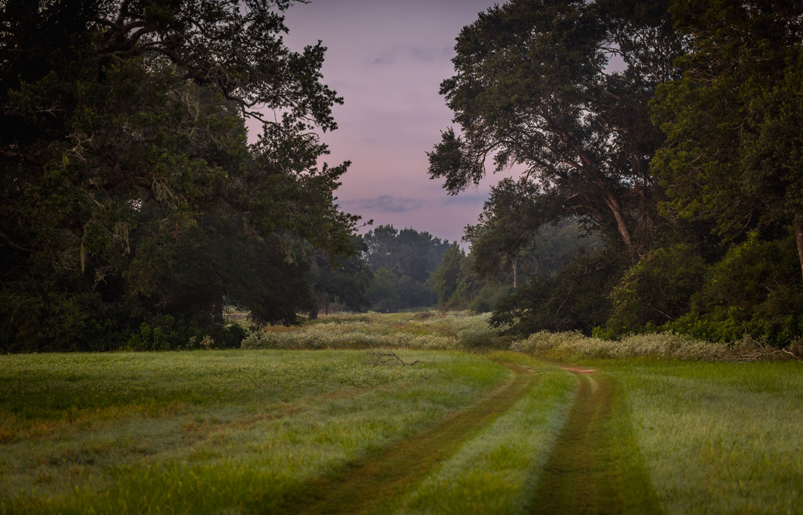 Sunrise River Ranch 52 Acre Ranch For Sale In Colorado County Image 4