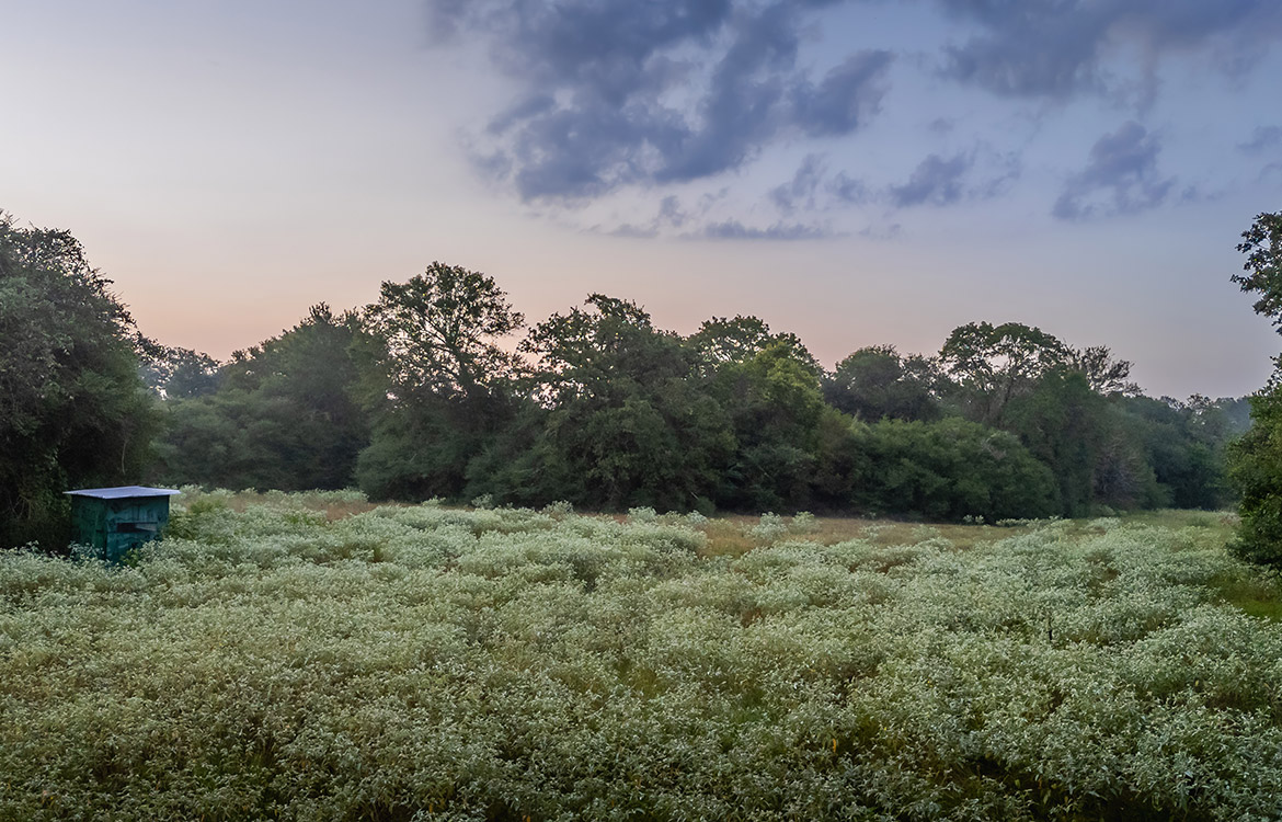 Sunrise River Ranch 52 Acre Ranch For Sale In Colorado County Image 5