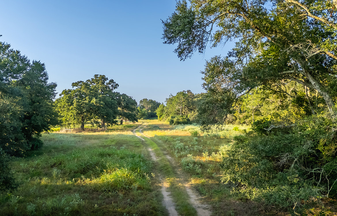 Sunrise River Ranch 52 Acre Ranch For Sale In Colorado County Image 7