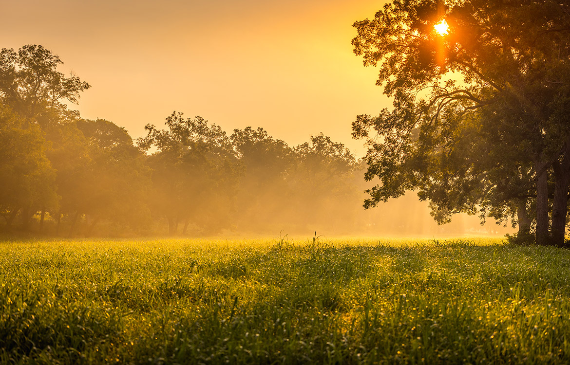 Sunrise River Ranch 52 Acre Ranch For Sale In Colorado County Image 8