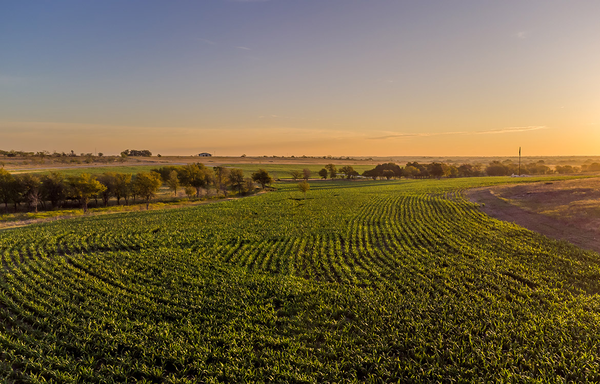 CCR Ranch West 502 Acre Ranch For Sale In Comanche County Image 16