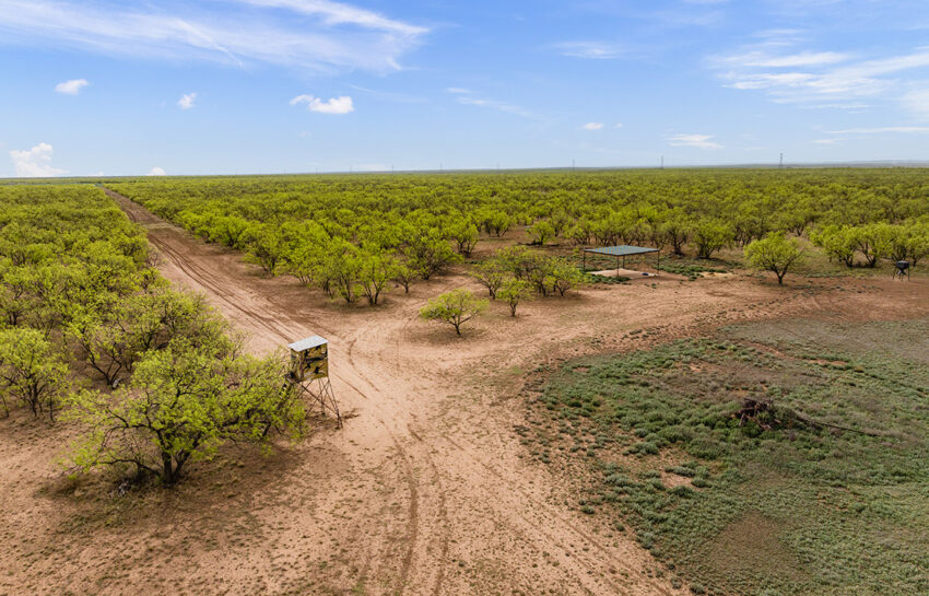 BRB Lodge 519 Acre Ranch For Sale n Concho County Image 11