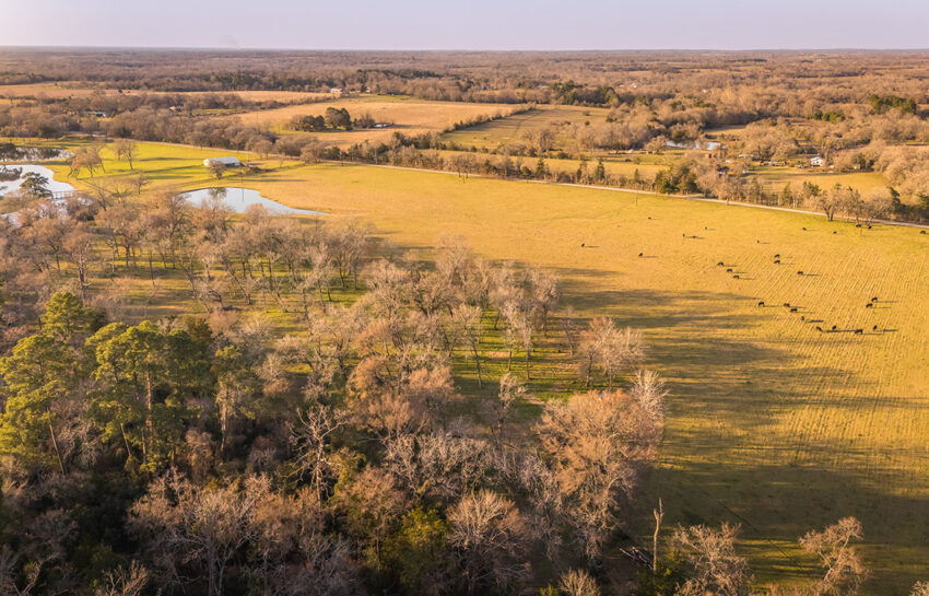 4-0 Ranch 177 Acre Ranch For Sale In Grimes County Image 23